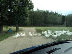 ostpreußen kulinarisch masuren