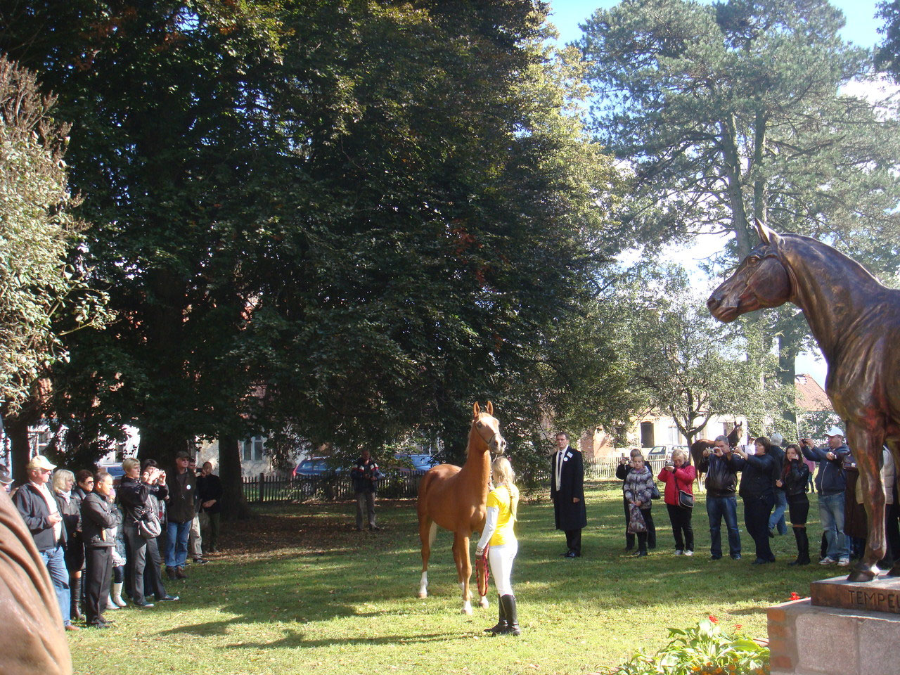Trakehner horses in front of the monument