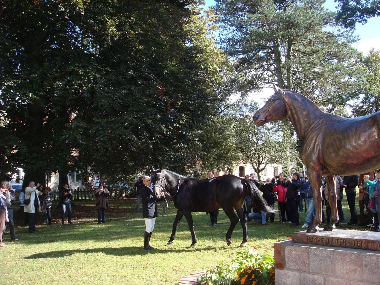 Descendants of Trakehner horses in Trakehnen